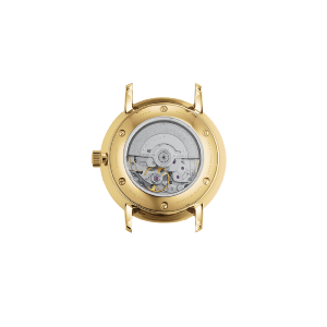NAOS XS auto acier doré cuir marron S02-ND02-KL18
